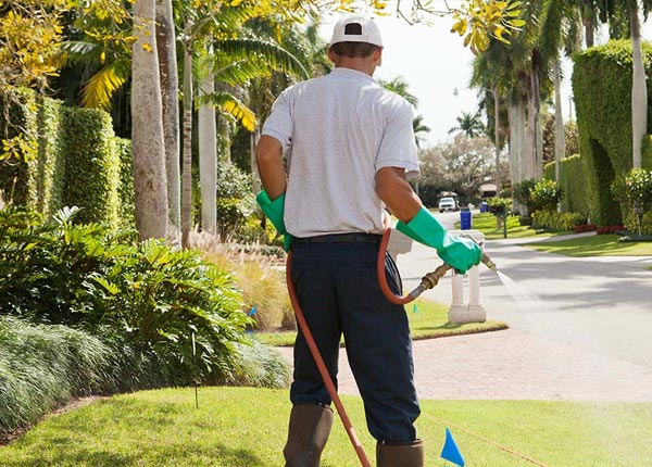 About Marty SD Pest Control Pros